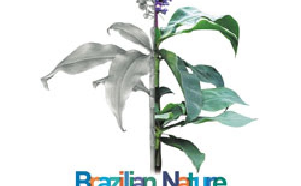Flora Brasiliensis Symposium: Brazilian Nature and Our Scientific Partnerships