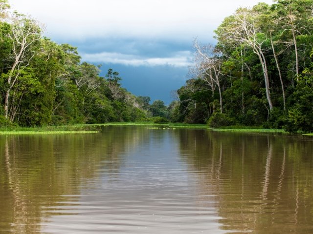 The Scientific, Social, and Economic Dimensions of Development in the Amazon
