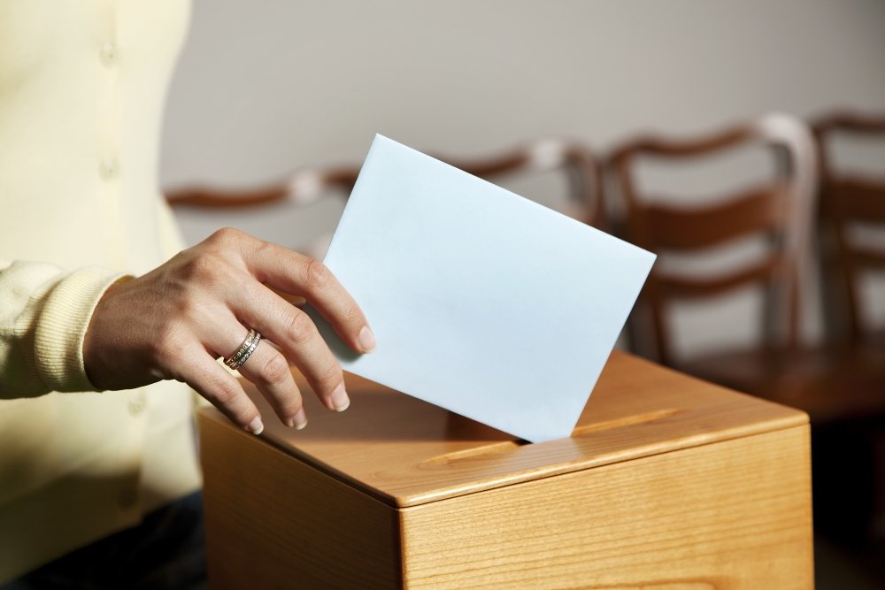 MEP_Voting
