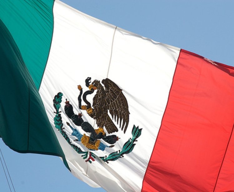 The State of Citizen Security in Mexico: 2014 in Review and the Year Ahead