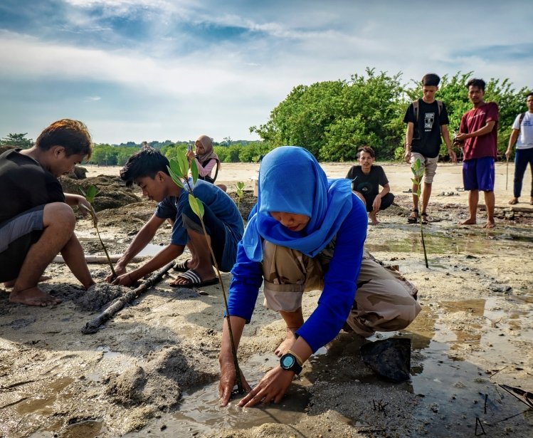 Mangrove Tree Planting carried out by the local environmental community on the coast of Tanjung Tinggi, Belitung, Indonesia