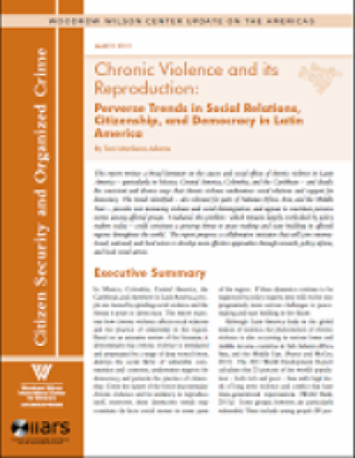 Chronic Violence and its Reproduction: Perverse Trends in Social Relations, Citizenship, and Democracy in Latin America