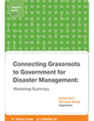 Connecting Grassroots to Government for Disaster Management: Workshop Summary