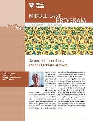 Democratic Transitions and the Problem of Power (Spring 2014)