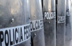 Reforming the Ranks: Assessing Police Reform Efforts in Mexico