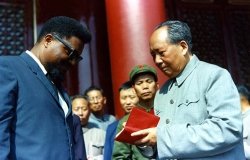 Mao and Robert F. Williams