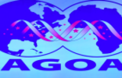 AGOA Logo Header