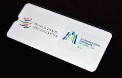WTO and 13th Ministerial Conference Logo