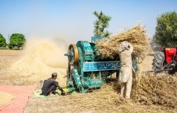 A wheat threshing machine in Pakistan.