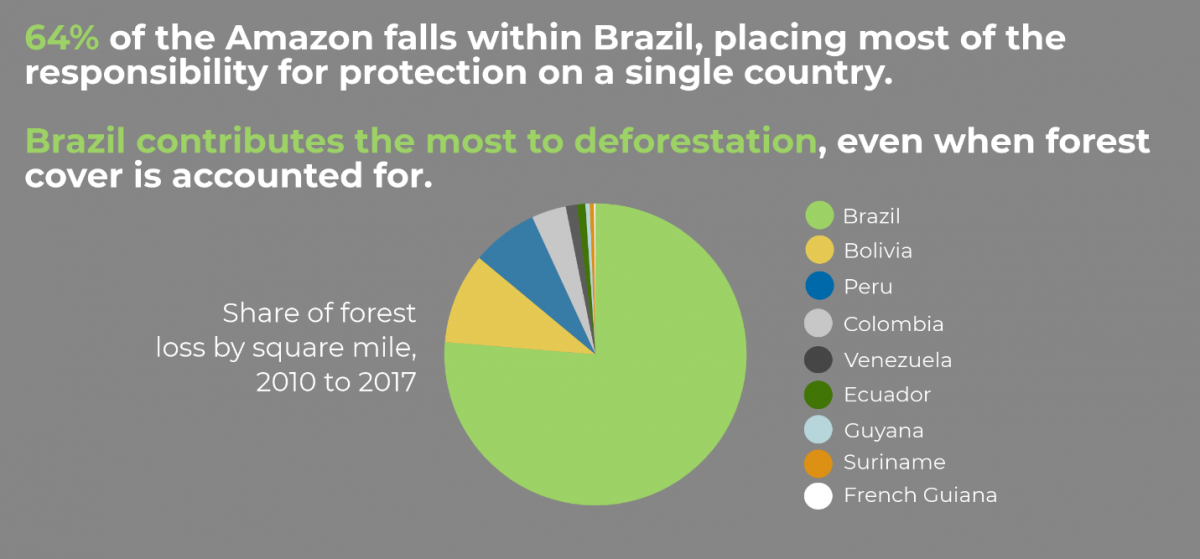 Agri Business As Usual Curbing Deforestation In The Amazon Rainforest Wilson Center Agri Business As Usual Curbing Deforestation In The Amazon Rainforest Wilson Center