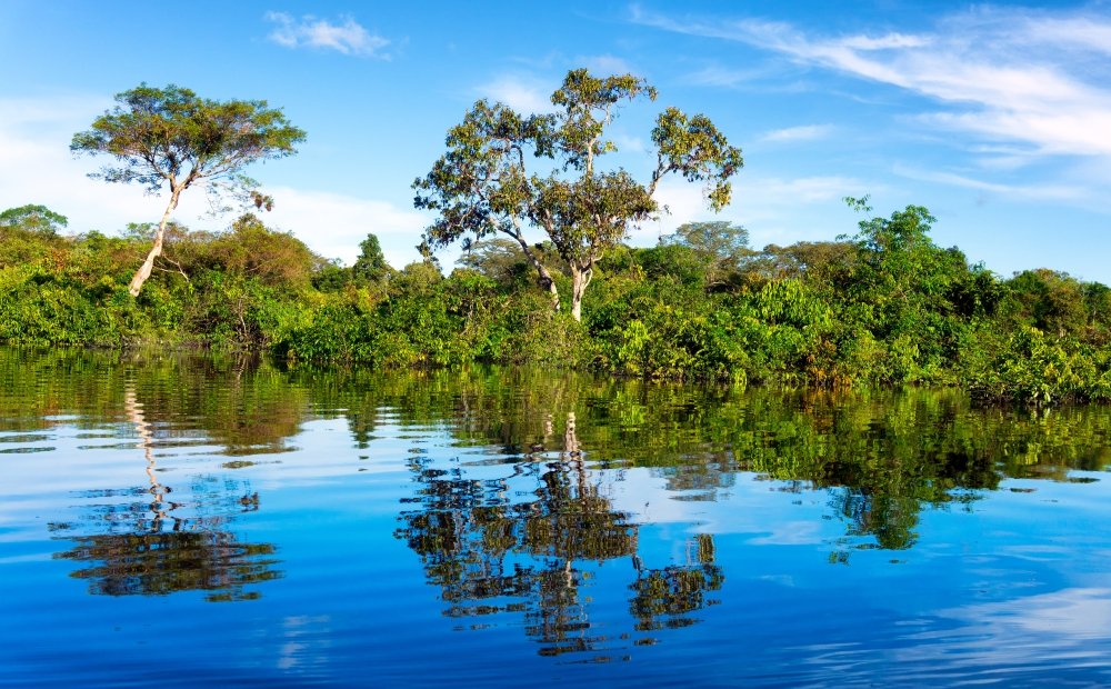 Dimensões Científicas, Sociais e Econômicas do Desenvolvimento da Amazônia - Event in Manaus, Brazil