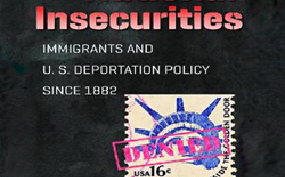 National Insecurities Book Cover