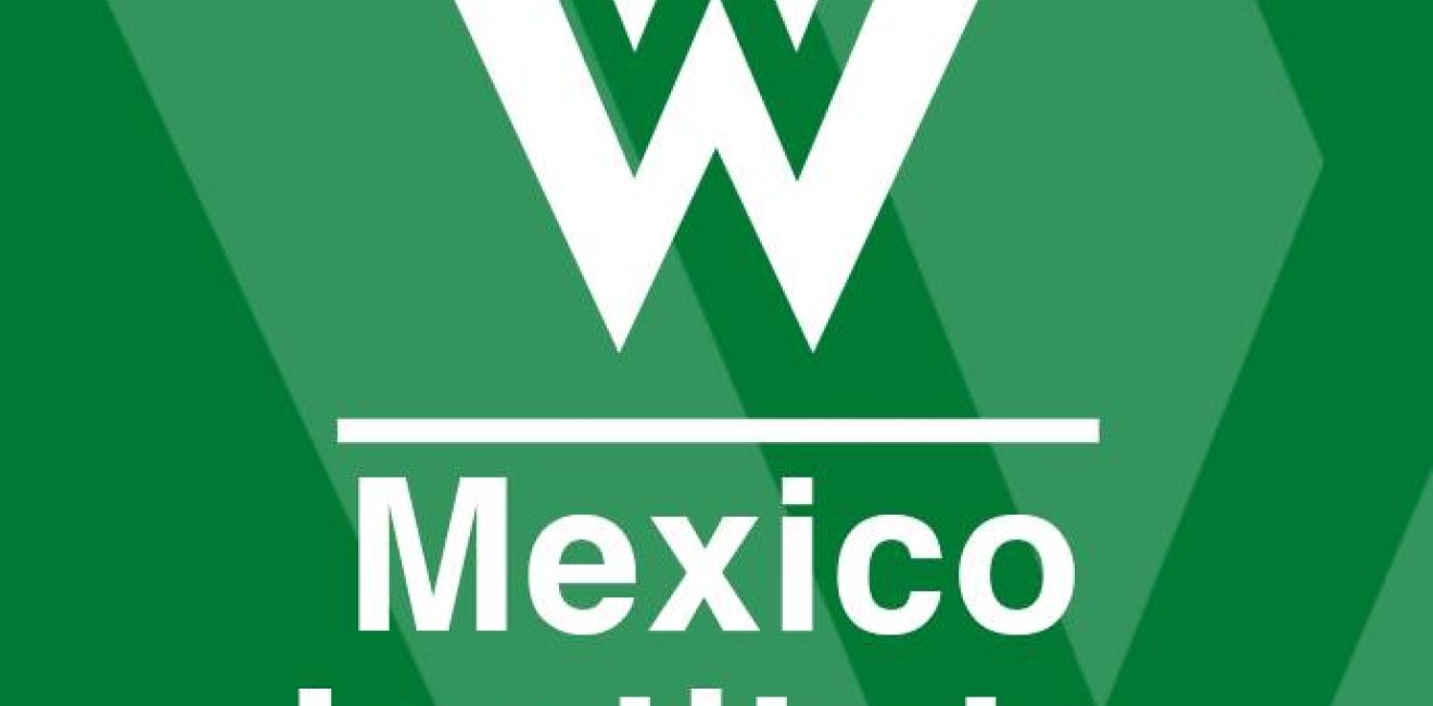 Mexico Institute's Statement on the Severe Earthquake in Mexico