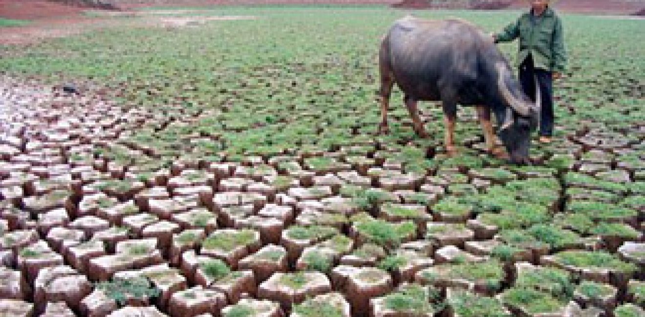 CEF Director Quoted in E&E Report:China will need more than infrastructure to meet water scarcity