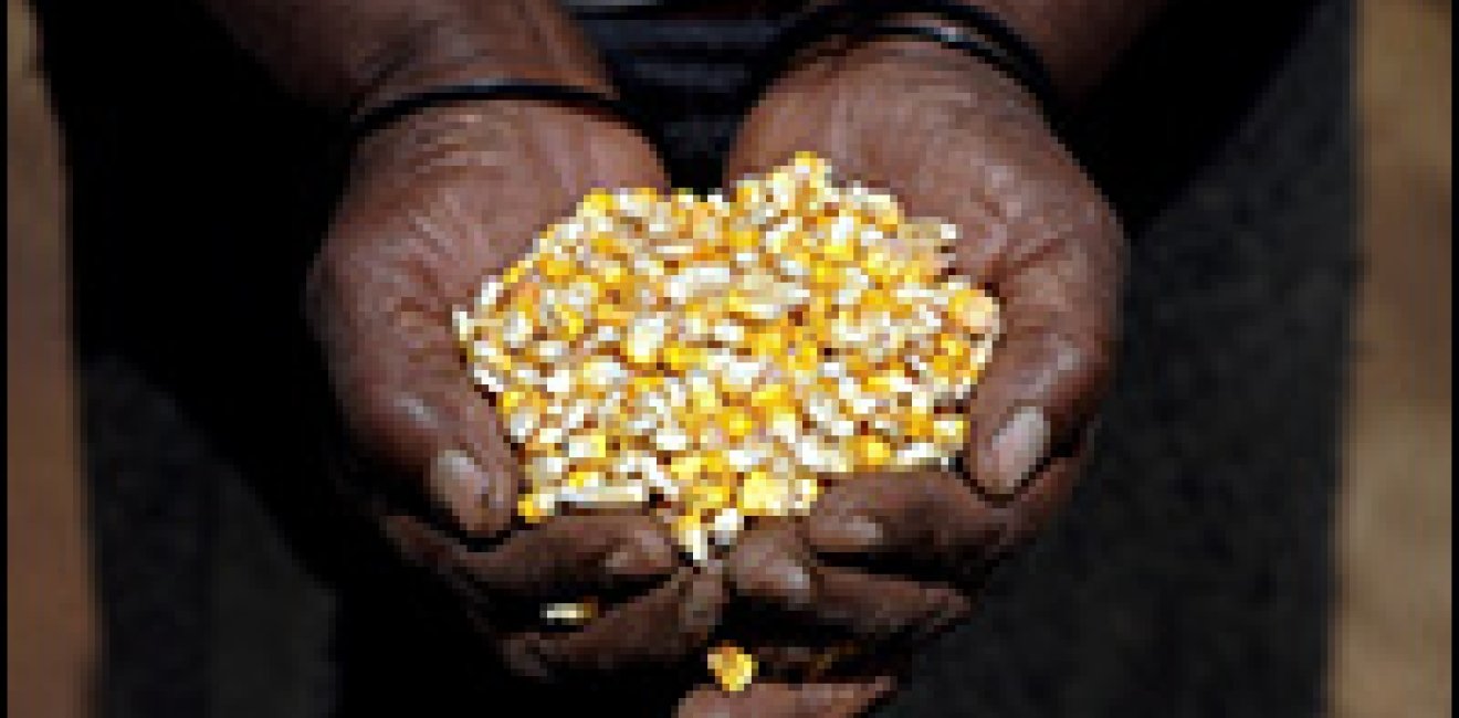 Promoting Regional Integration, Food Security in Africa
