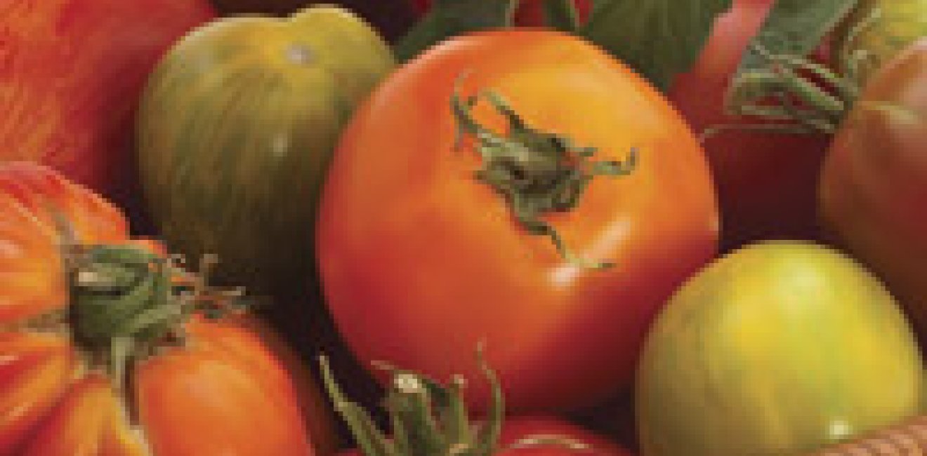 Rebuilding the U.S. Economy:  One Heirloom Tomato at a Time