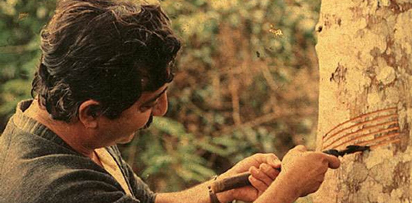 Chico Mendes Memorial Serivce