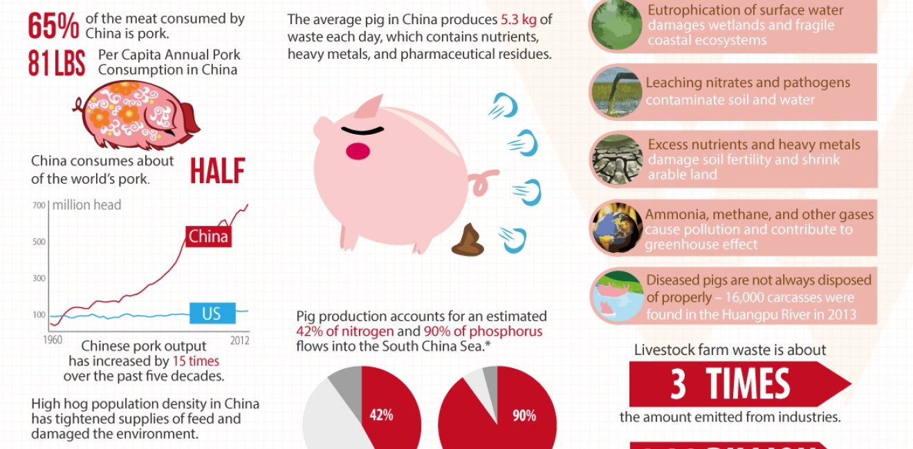 Forbes Quoted the CEF's Infographic about the Environmental Impacts of Chinese Pork Industry