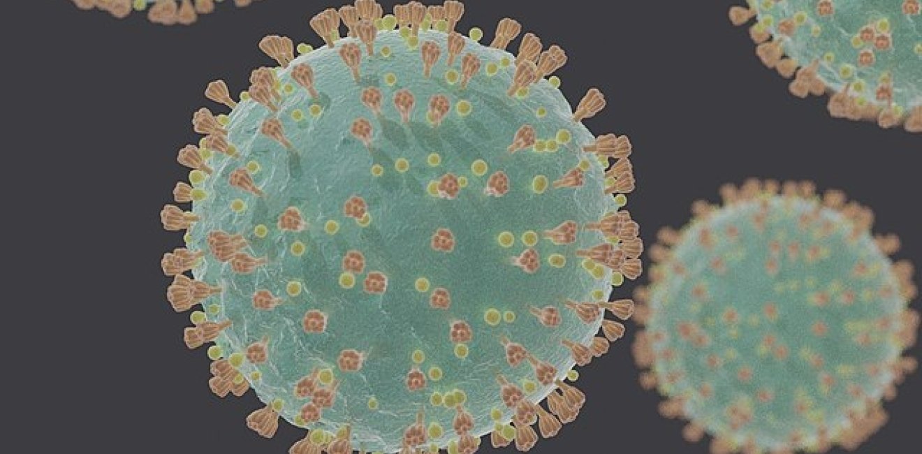 640px-Coronavirus_SARS-CoV-2