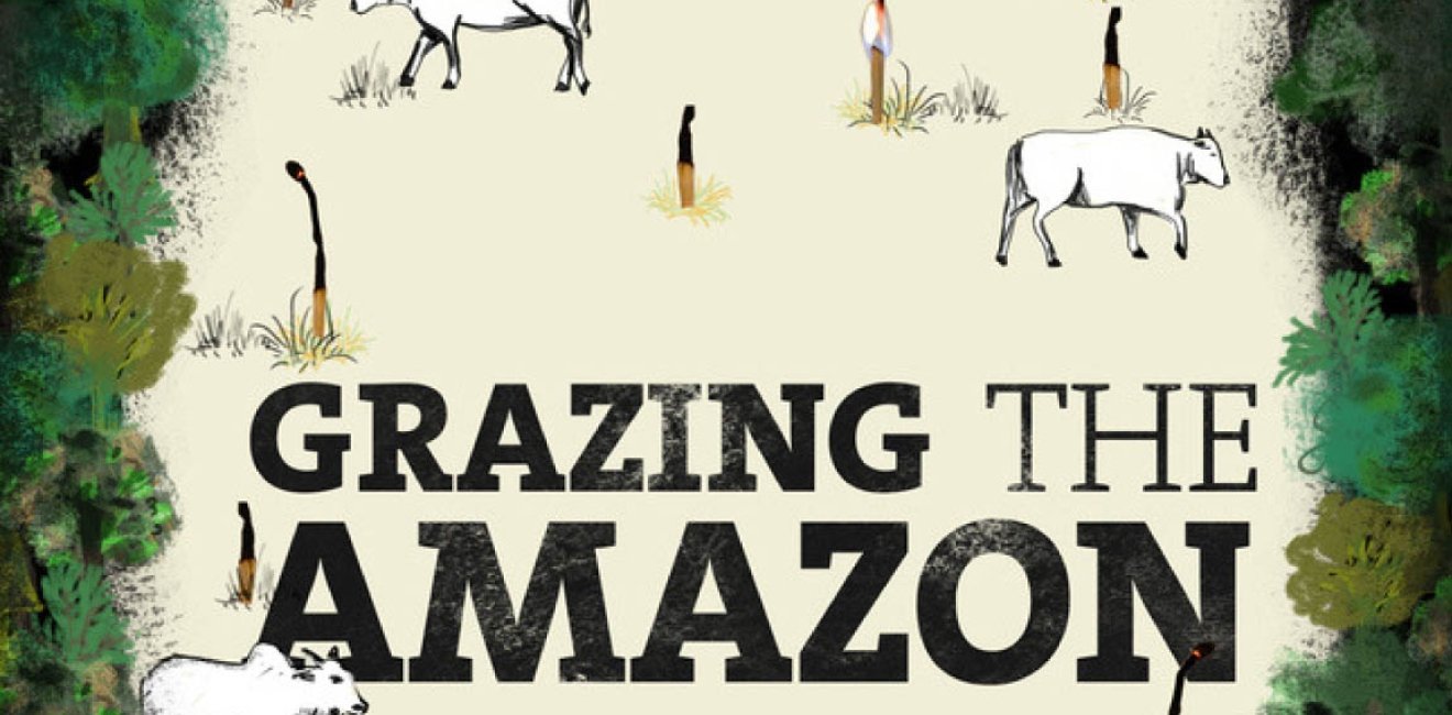 Award-Winning Film Explores Deforestation and Cattle Industry in the Brazilian Amazon