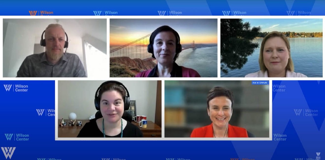 Screenshot of Panel for Lessons from Europe