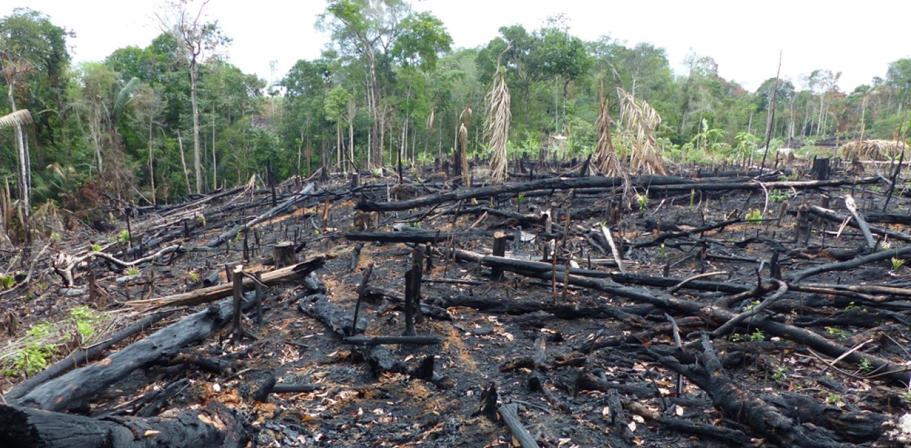 Brazil Fire