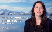Critical Minerals in the Arctic 
