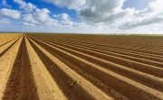Plowed agricultural fields