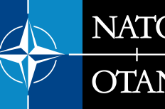 NATO logo landscape