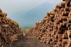 Image - Lumber