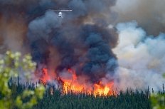 wild forest fire in Canada