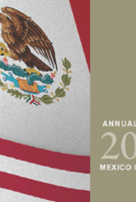 Mexico Institute Annual Report 2010