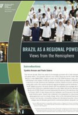 Brazil as a Regional Power:  Views from the Hemisphere