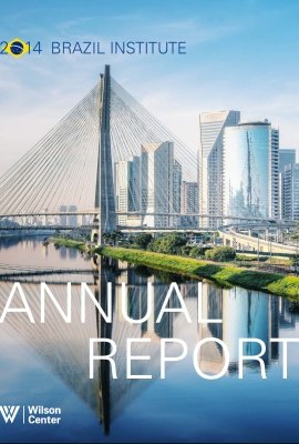 Brazil Institute Annual Report 2014