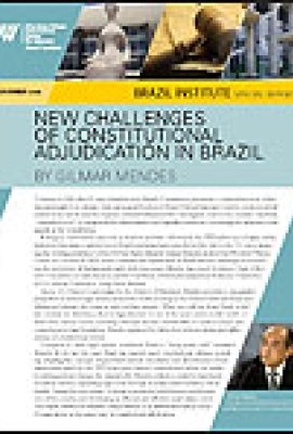 New Challenges of Constitutional Adjudication in Brazil