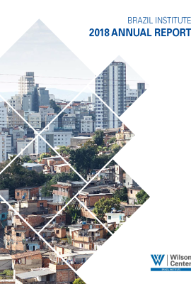 Brazil Institute Annual Report 2018