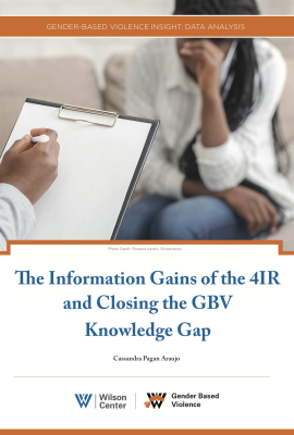 The Information Gains of the 4IR and Closing the GBV Knowledge Gap