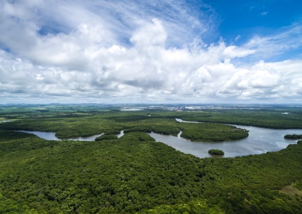 Aerial Photo of the Brazilian Amazon