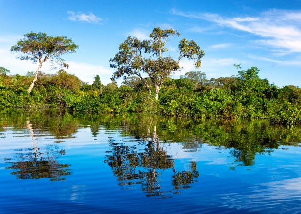 Image - BI - Amazon River Tree Reflections