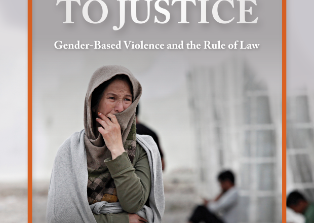Image - Pathways to Justice Cover