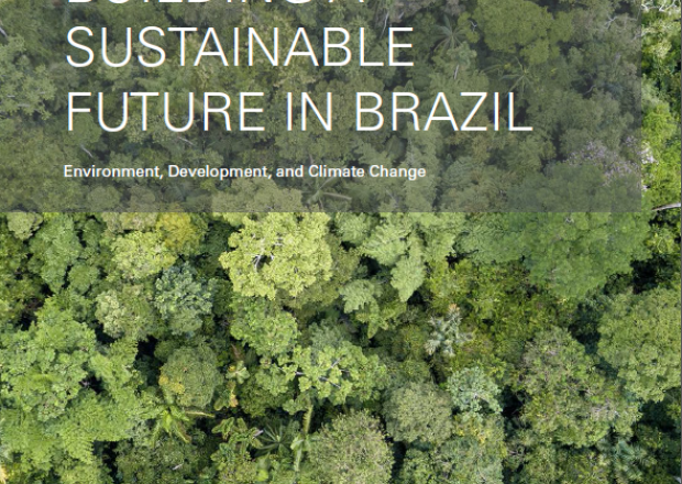 Image - 2020 Sustainable Brazil report cover
