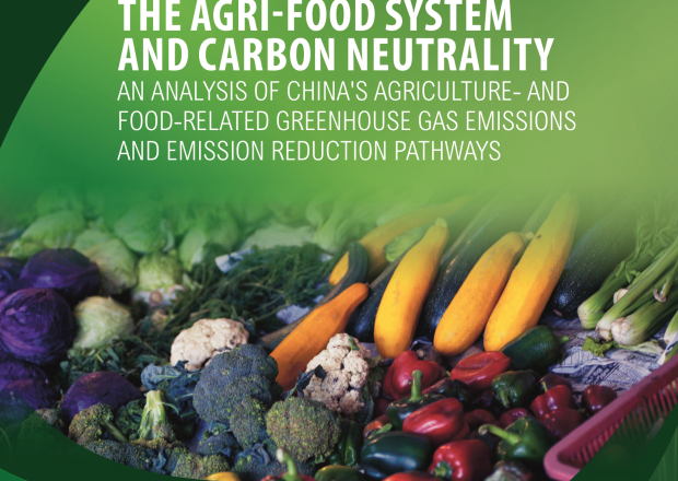 igdp report cover on The Agri-Food System and Carbon Neutrality: An Analysis of China’s Agriculture and Food-Related Greenhouse Gas Emissions and Emission Reduction Pathways   