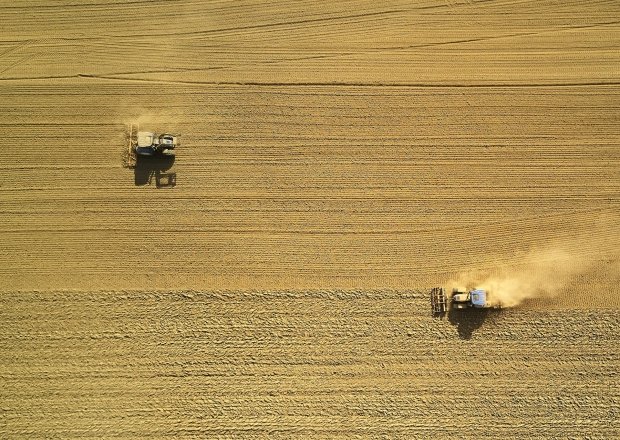 Image - Soy Hoarding in Argentina