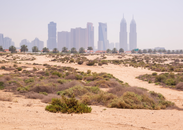 Jumeirah Beach, UAE