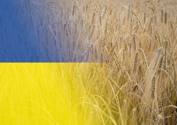 Ukraine flag and grain