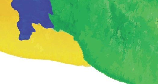 Image - Brazil Institute Annual Report 2019