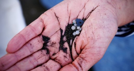 Plastic resin pellets or 'nurdles' spilt by the plastic manufacturing industry wash up at Piha