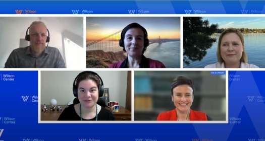 Screenshot of Panel for Lessons from Europe