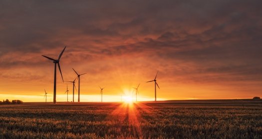 Field with wind turbines at sunset