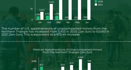 Infographics and Explainer Videos